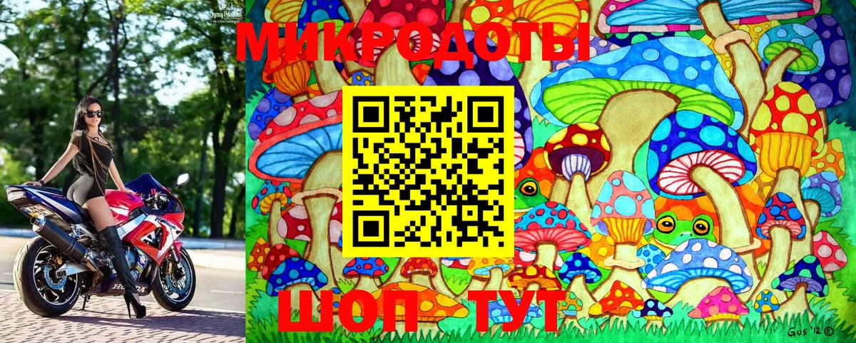 Галлюциногенные грибы GOLDEN TEACHER  Вход с VPN  Жигулёвск 